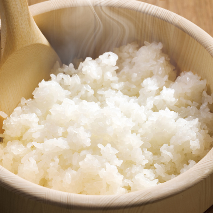 【たんぱく質調整食品】【9ヶ月定期便】 1/25 越後ごはん 小盛 140g×30個×9回 バイオテックジャパン 越後シリーズ 1V29198