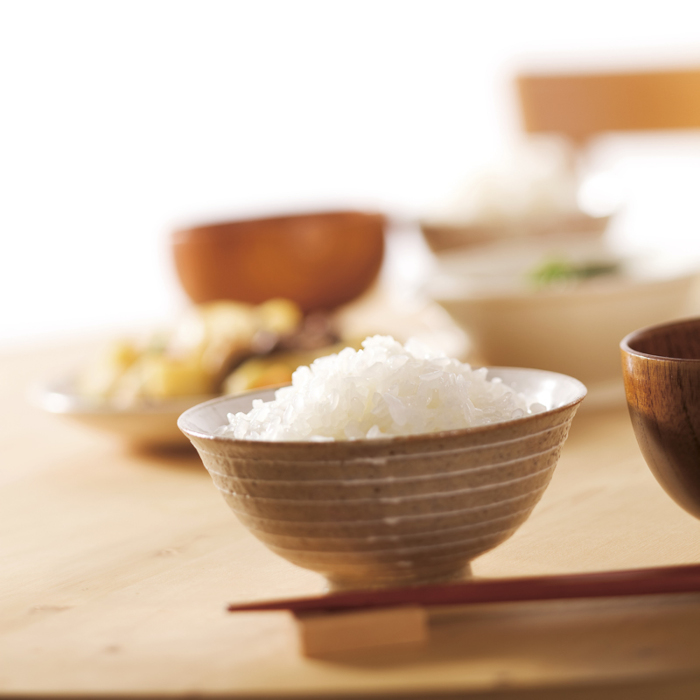 【たんぱく質調整食品】【6ヶ月定期便】 越後極み 450g×4袋×6回 バイオテックジャパン 越後シリーズ 1V91080