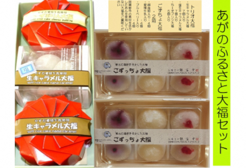 お菓子の龍宝堂 もちもち大福盛りだくさんセット 2B04022