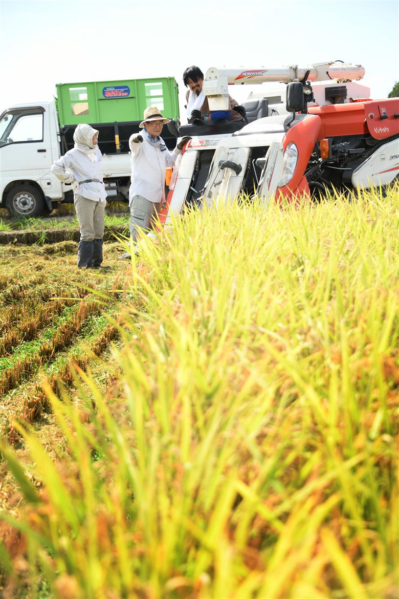 【令和7年産新米】新潟県阿賀野市産 新之助 5kg 3D03018
