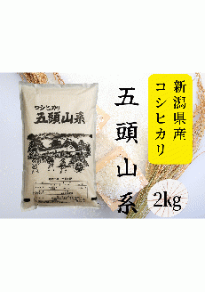 ふるさと納税 新潟県 阿賀野市 新潟産 コシヒカリ「瓢湖米」 5kg×12回