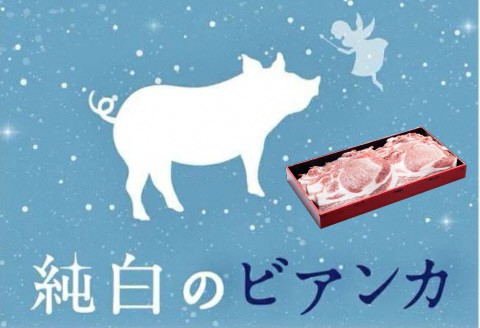 純白のビアンカ 豚ロース ポークステーキ 6枚 1D04012