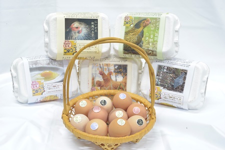 平飼い有精卵セット（5種各6個・計30個） ひよころ鶏園 1R02011