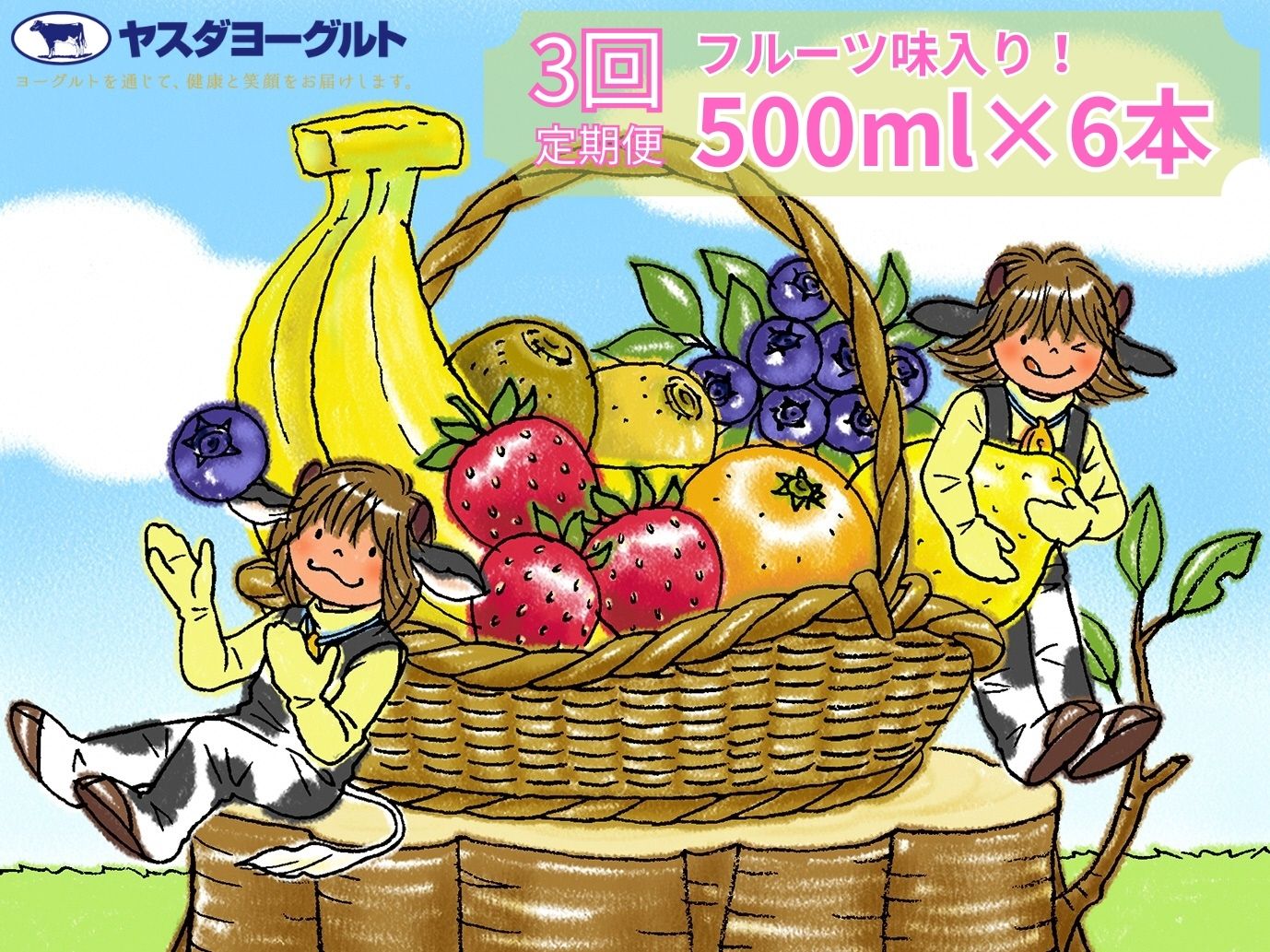 【3か月定期便】ヤスダヨーグルト 500ml×6本×3回 バラエティセット 1B29028