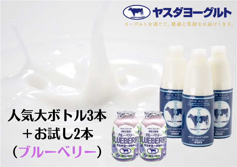 【12/21までの寄附で年内発送】ヤスダヨーグルト 特別お試しセット 人気大ボトル3本 + 小ボトルブルーベリー2本セット 1B73007