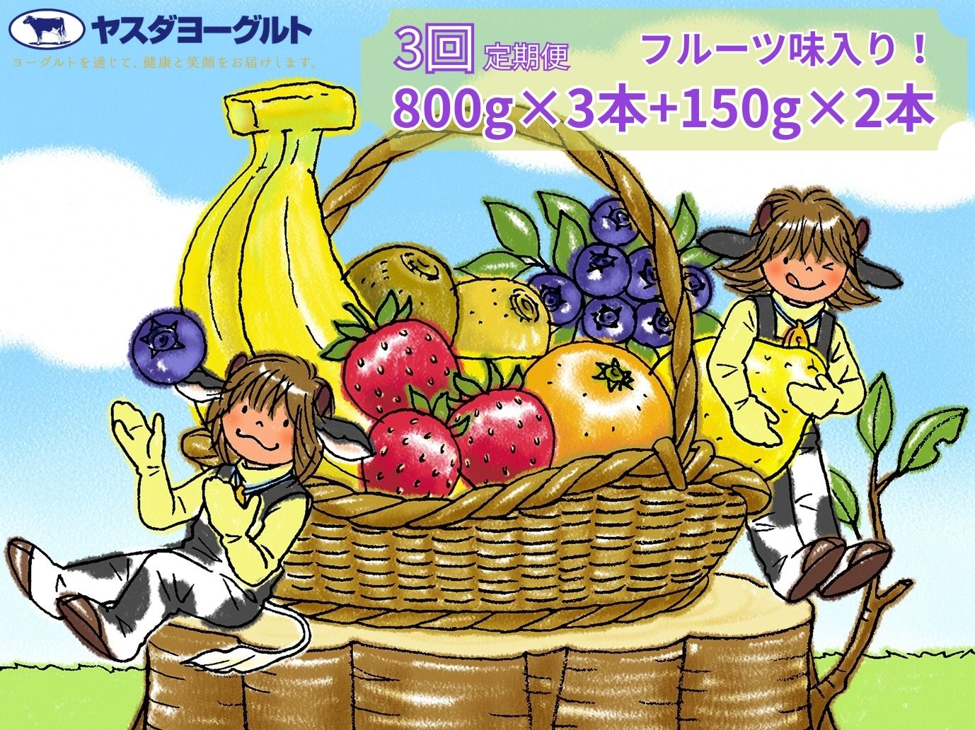 【3ヶ月定期便】ヤスダヨーグルト ちょい足しフルーツセレクションセットお試し便 1B86019