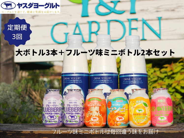 【3ヶ月定期便】ヤスダヨーグルト ちょい足しフルーツセレクションセットお試し便 1B86019