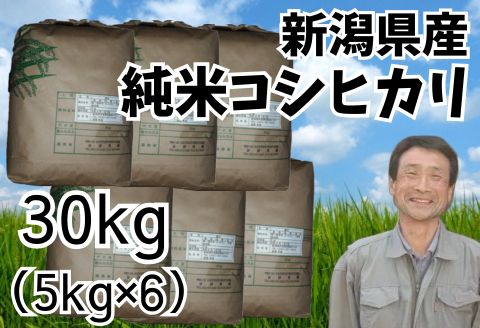 【令和7年産】新潟県産 純米コシヒカリ 30kg（5kg×6袋） 1G20091