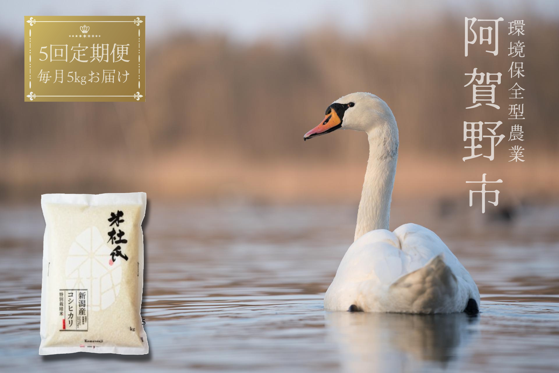 【令和7年産】【5回定期便】米杜氏 新潟県阿賀野市産 特別栽培米コシヒカリ5kg×5回 1H04091