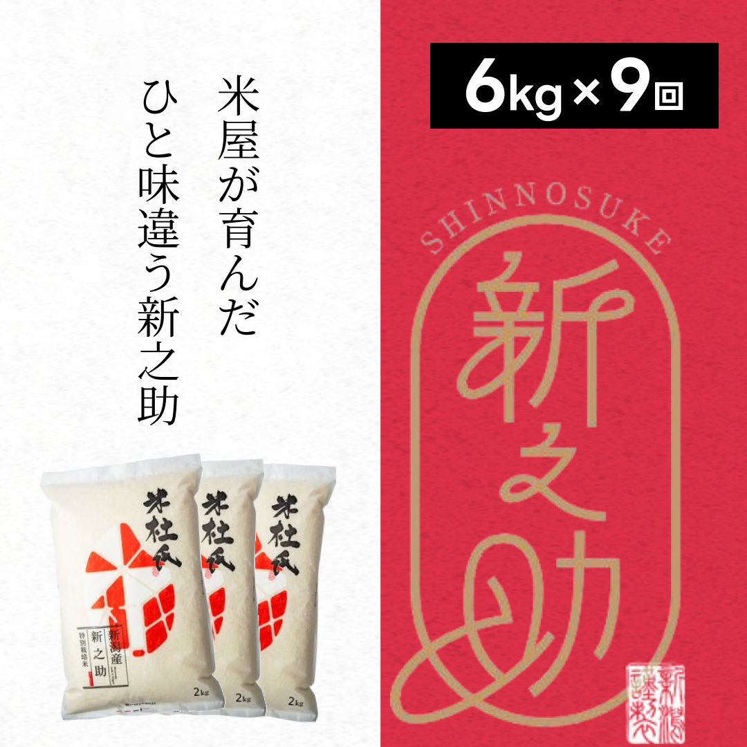 【令和7年産】9ヶ月定期便 特別栽培米 新之助 6kg (2kg×3袋)×9回 米杜氏 壱成 白米 精米 大粒 つや 光沢 弾力 芳醇 1H25199