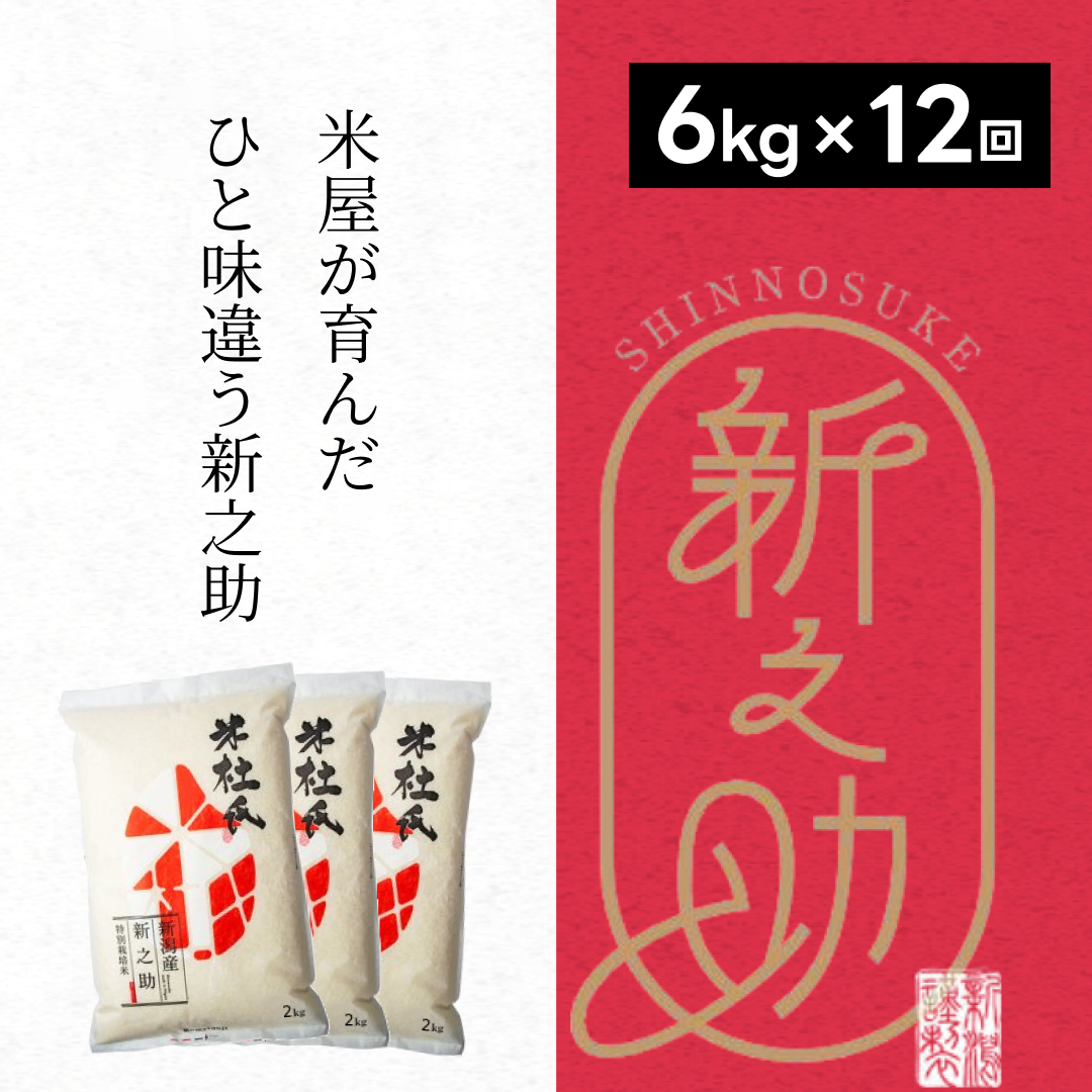 【令和7年産】12ヶ月定期便 特別栽培米 新之助 6kg (2kg×3袋)×12回 米杜氏 壱成 白米 精米 大粒 つや 光沢 弾力 芳醇 1H26265