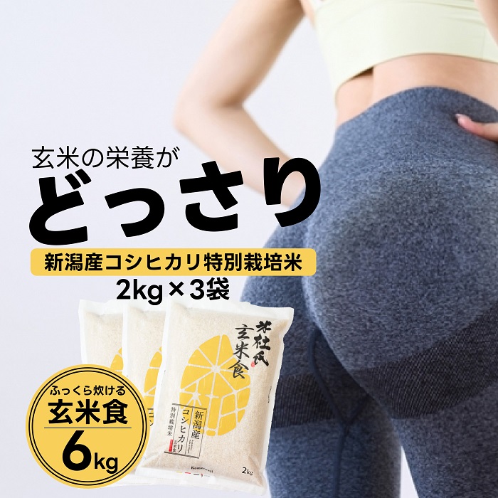 【令和7年産】【炊飯器で普通に炊ける玄米】 ふっくら玄米食 6kg（2kg×3） 新潟県阿賀野市産 米杜氏 壱成 特別栽培コシヒカリ 1H31023