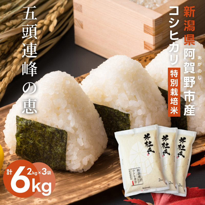【令和7年産】 新潟産 コシヒカリ 特別栽培米 6kg (2kg×3) 米杜氏 壱成 白米 精米 1H36023