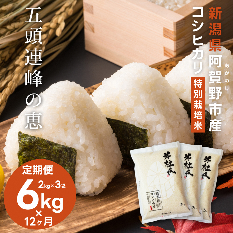 【令和7年産】【12ヶ月定期便】新潟産 コシヒカリ 特別栽培米 6kg (2kg×3)×12回 米杜氏 壱成 白米 精米 1H40265