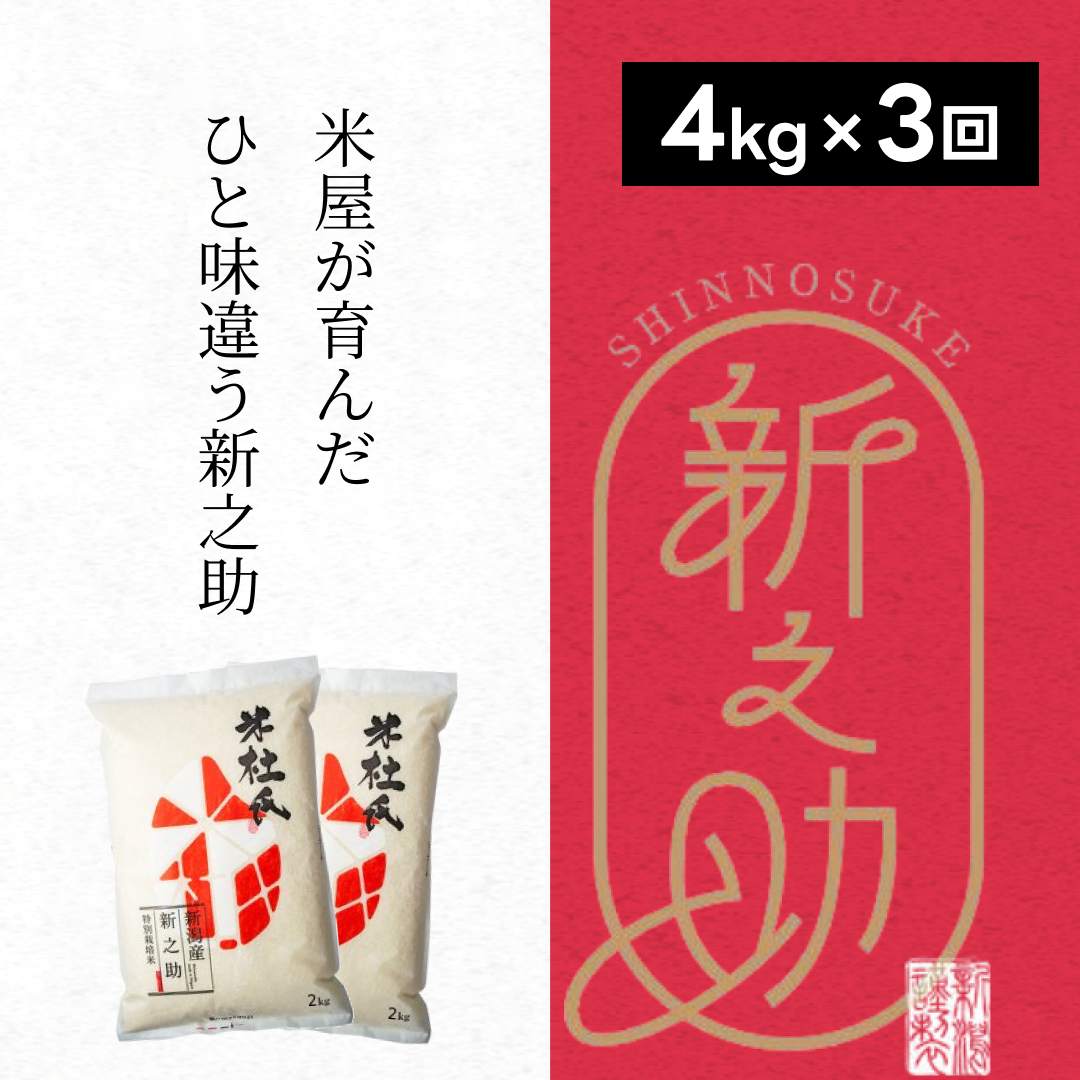 【令和7年産】【3ヶ月定期便】 特別栽培米 新之助 4kg (2kg×2袋)×3回 米杜氏 壱成 白米 精米 大粒 つや 光沢 弾力 芳醇 1H42046