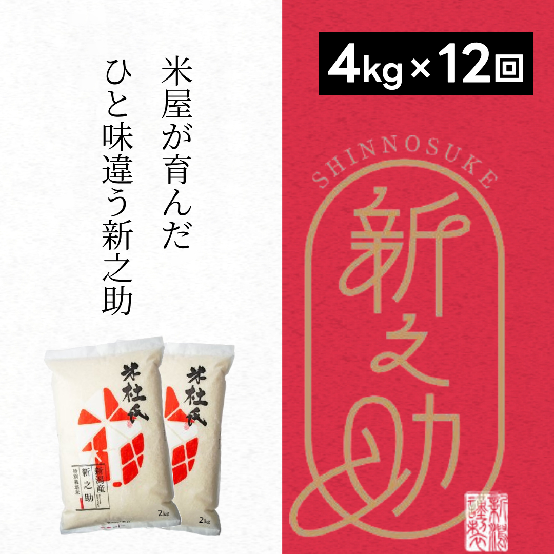 【令和7年産】【12ヶ月定期便】 特別栽培米 新之助 4kg (2kg×2袋)×12回 米杜氏 壱成 白米 精米 大粒 つや 光沢 弾力 芳醇 1H45181