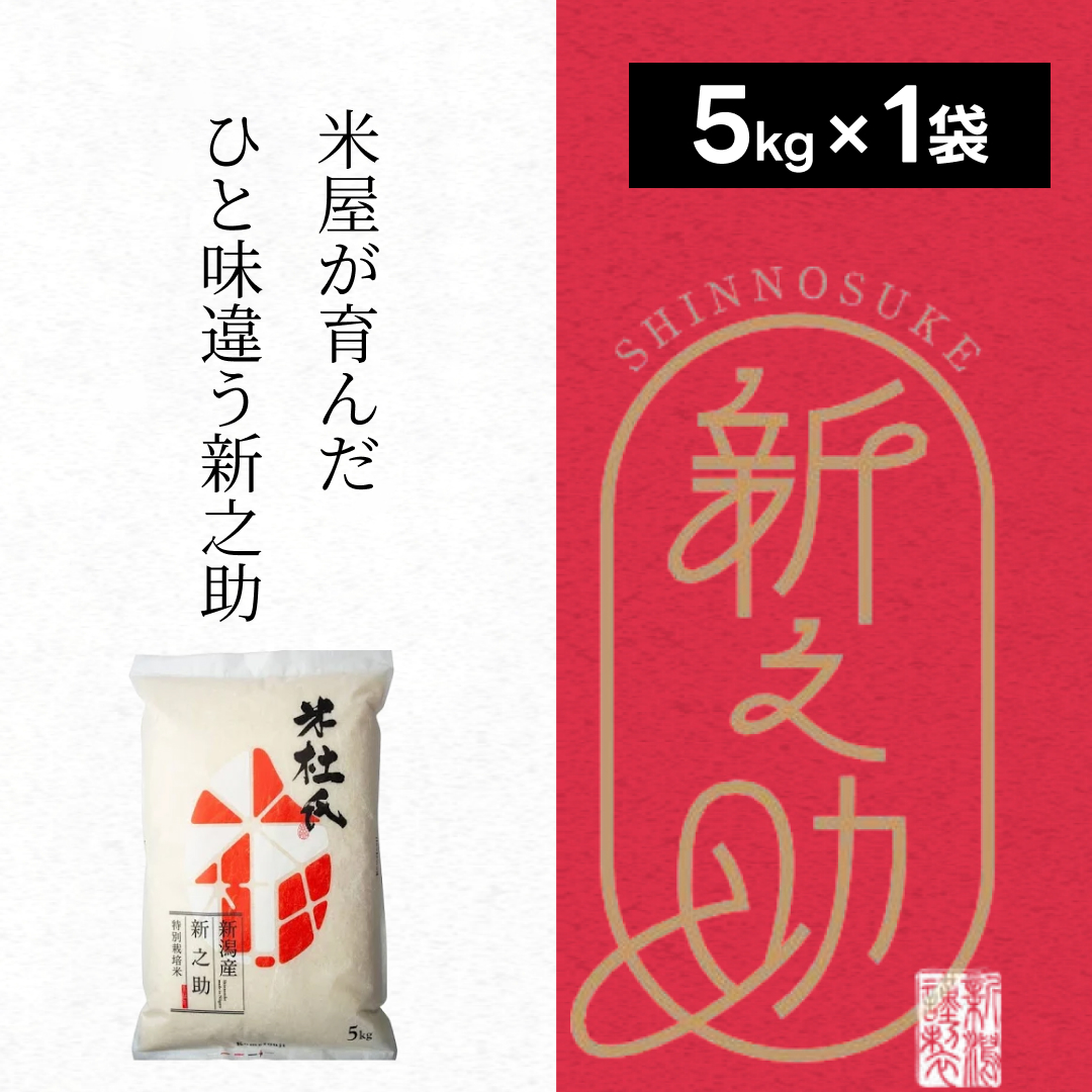 【令和7年産】 特別栽培米 新之助 5kg (5kg×1袋) 米杜氏 壱成 白米 精米 大粒 つや 光沢 弾力 芳醇 1H46019