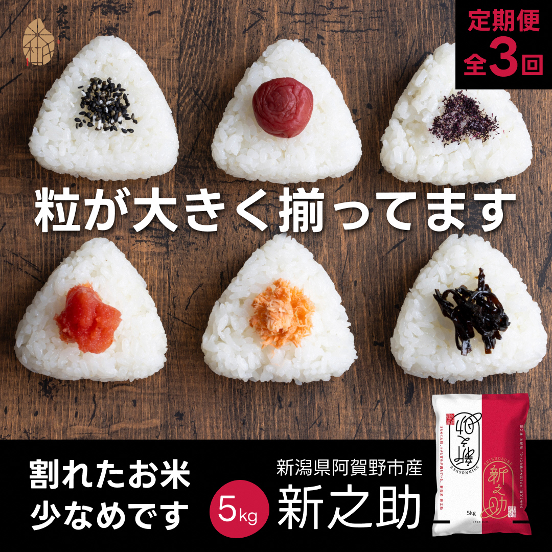 【令和7年産】【3か月定期便】 米杜氏 阿賀野市産 新之助 5kg×3回 計 15kg 1H52049