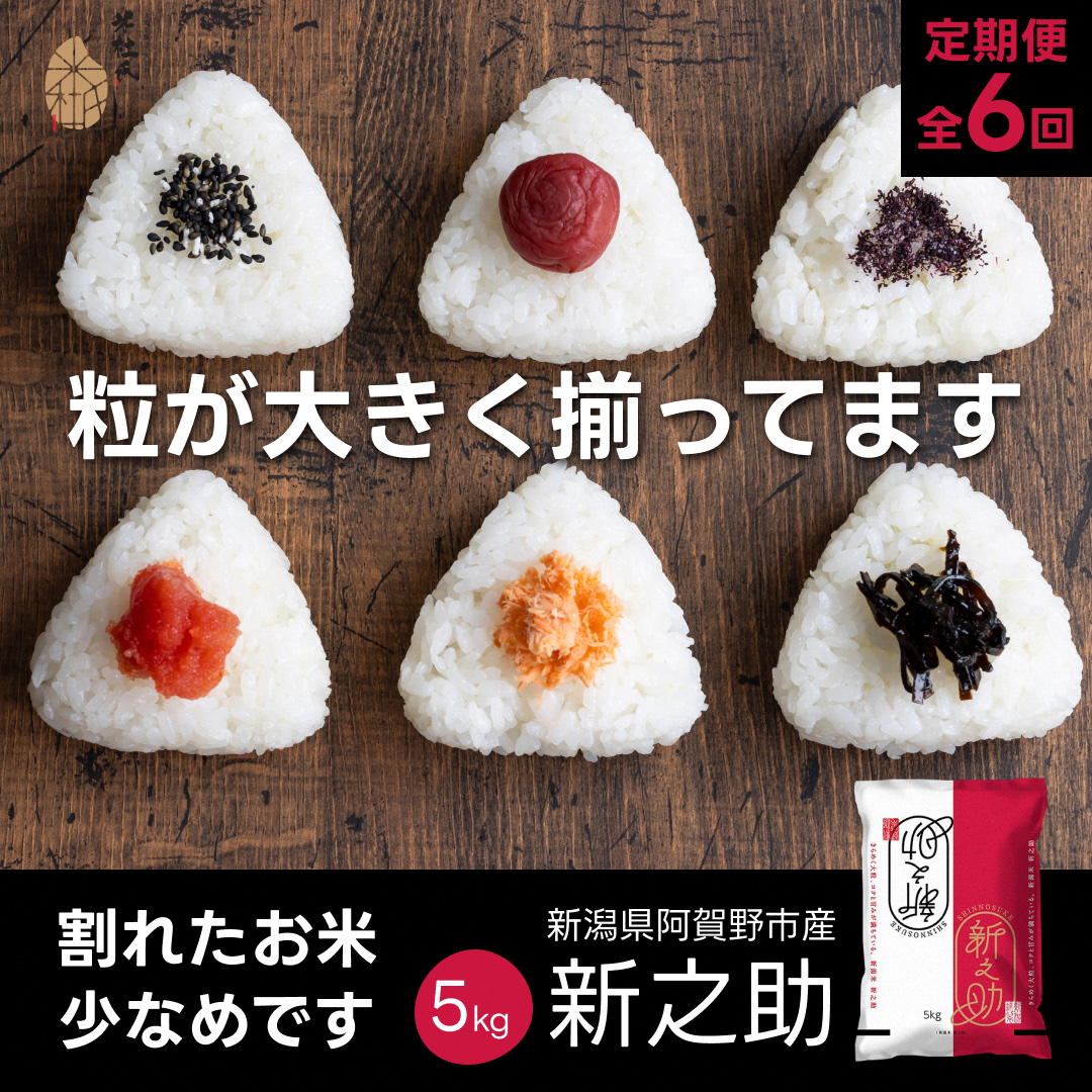 【令和7年産】【6か月定期便】 米杜氏 阿賀野市産 新之助 5kg×6回 計 30kg 1H53097