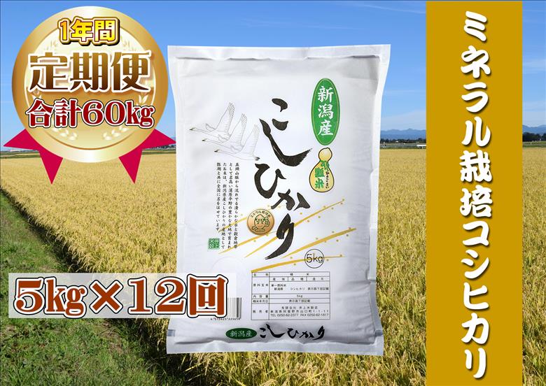 【令和7年産】12ヶ月定期便 ミネラル栽培こしひかり 5kg×12回 計60kg 白米 精米 井上米穀店 1I04181