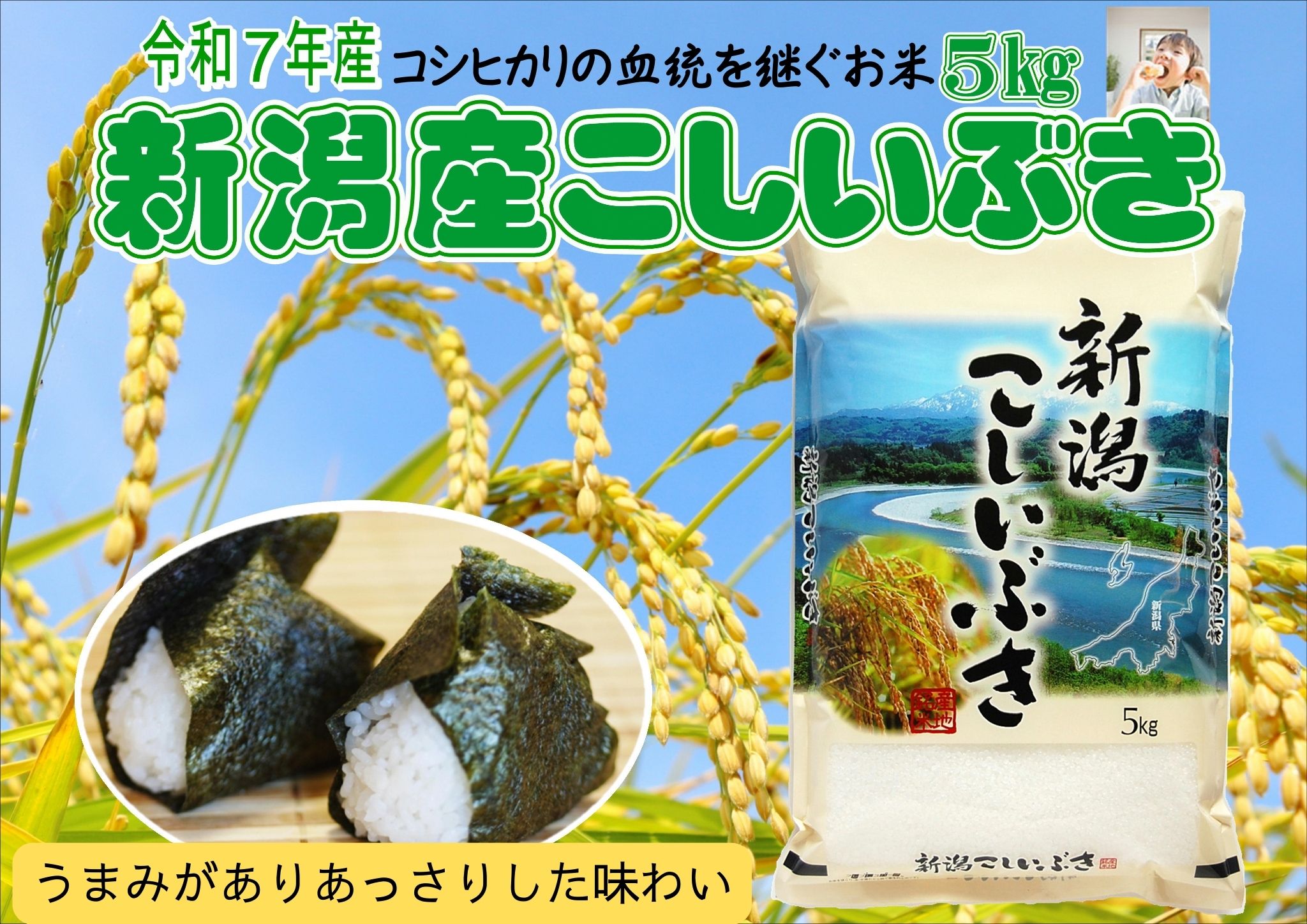 お米マイスターいち押し！！【令和7年産】新潟産こしいぶき 5kg 井上米穀店 1I28013