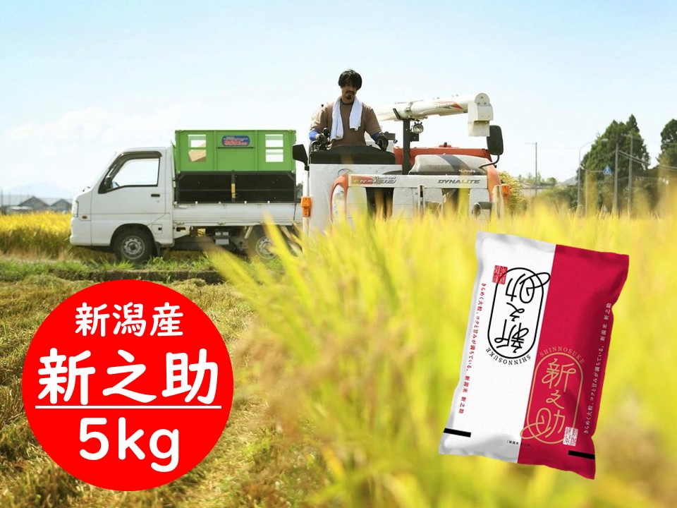 【令和7年産新米】新潟県阿賀野市産 新之助 5kg 3D03018