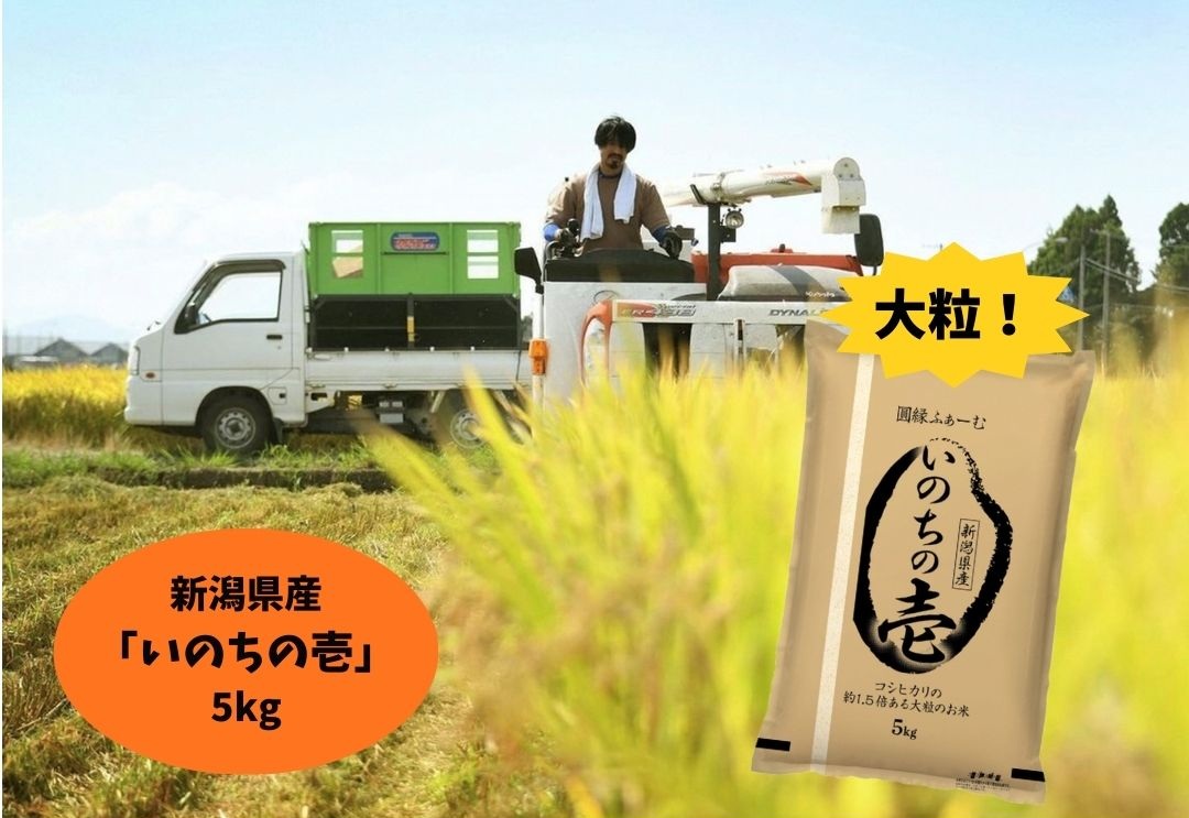 【令和7年産】新潟県阿賀野市産 いのちの壱 5kg 3D12020