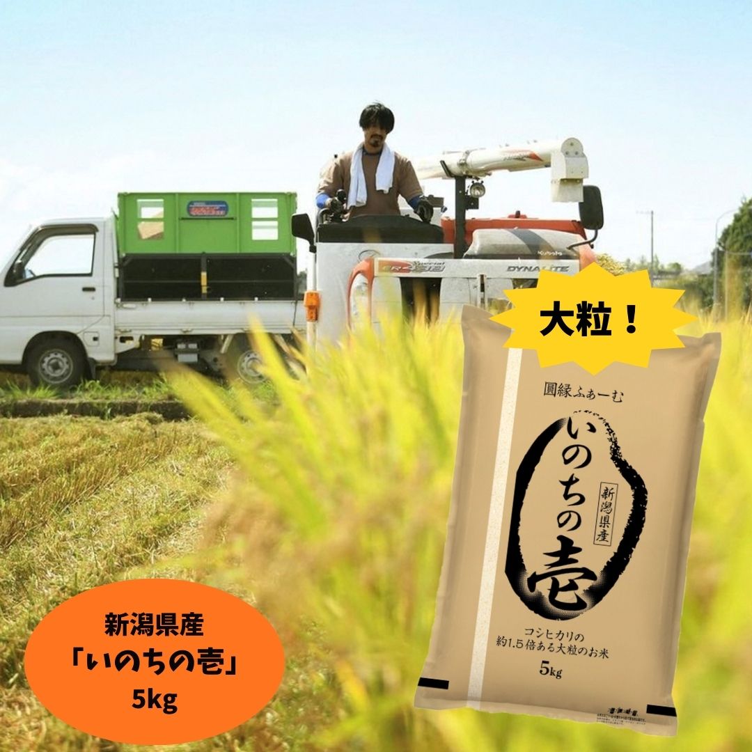 【令和7年産】新潟県阿賀野市産 いのちの壱 5kg 3D12023