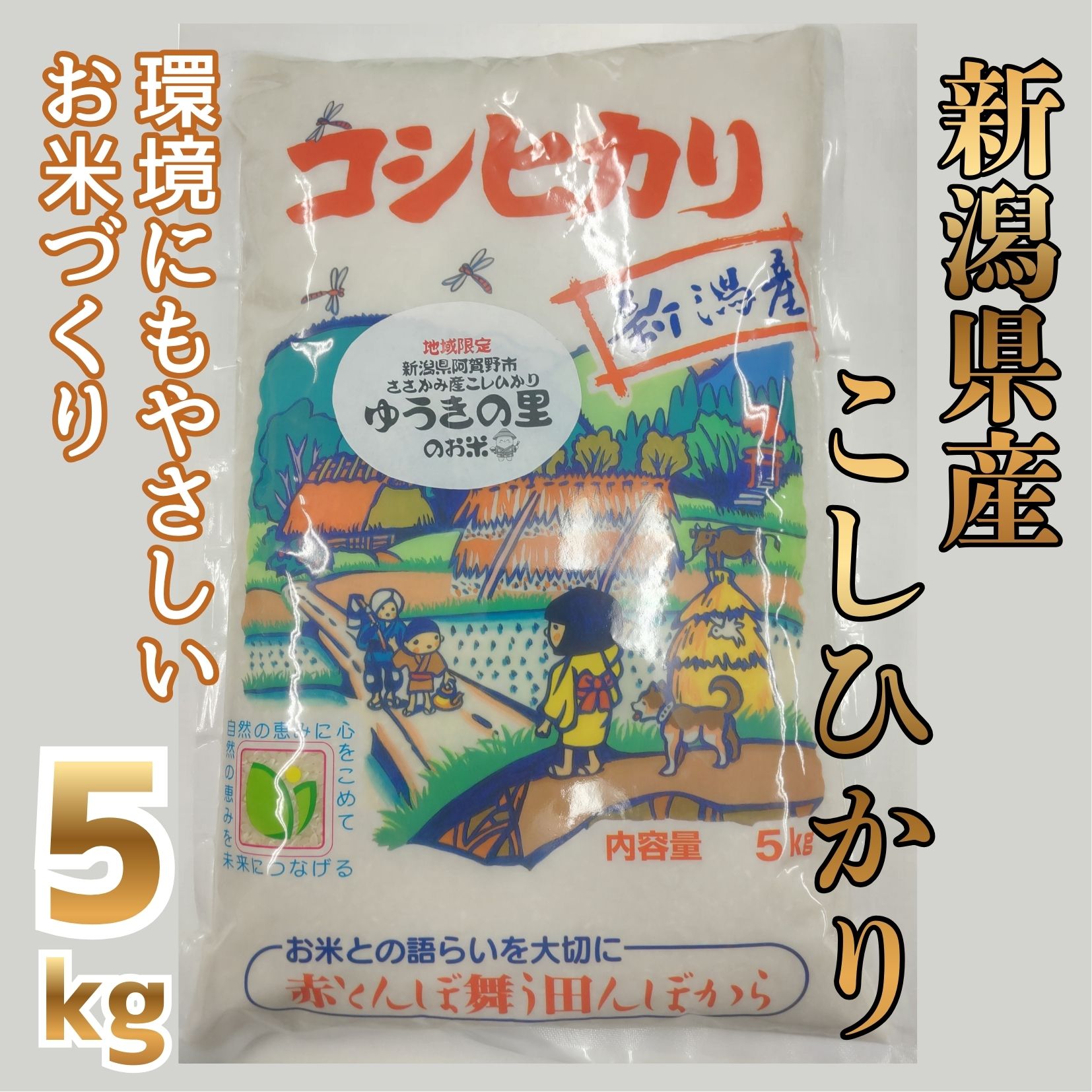 【令和7年産】阿賀野市 ささかみ産 こしひかり 「ゆうきの里のお米」 5kg 新潟コンバイン 3P03016