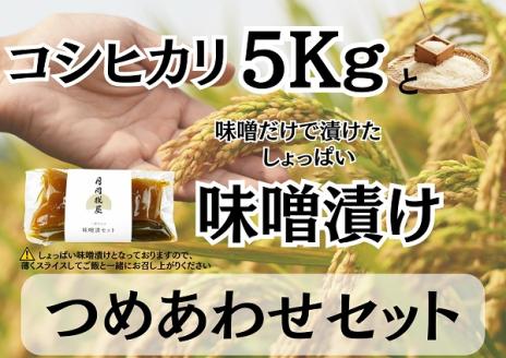 糀屋こだわり自家栽培 コシヒカリ5kg&味噌漬け200g 詰め合わせセット 3B13011