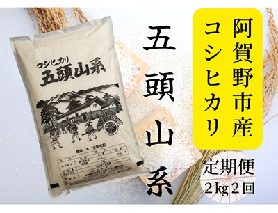 [2回定期便]コシヒカリ 2kg×2回 「米屋のこだわり阿賀野市産」 1E04010