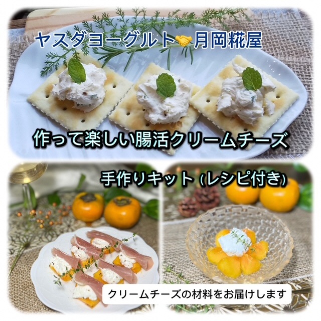 [冬春限定]作って楽しい腸活クリームチーズ 手作りキット(レシピ付き) 1B88013