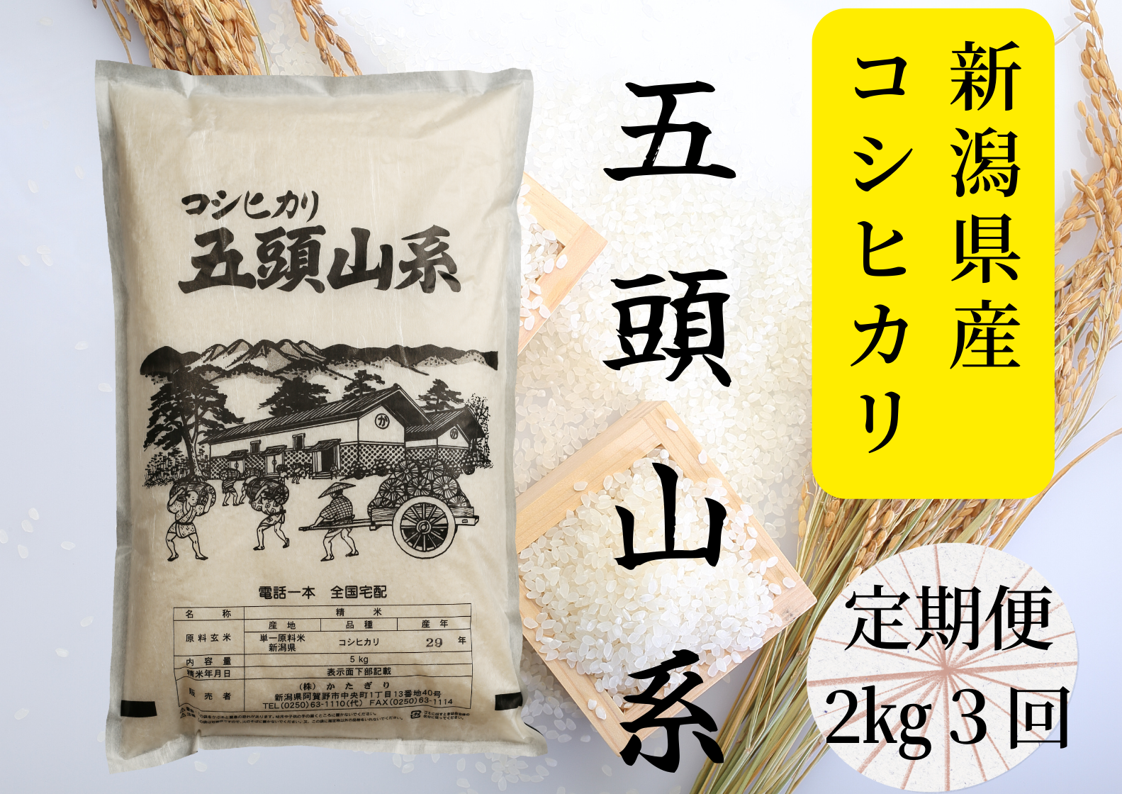 [新米][3回定期便]コシヒカリ 2kg×3回 「米屋のこだわり阿賀野市産」 1E18014