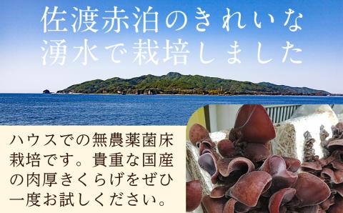 乾燥＠きくらげ　4パック