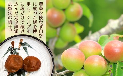 昔ながらの塩っぱい梅干　10パック