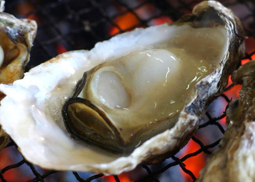 【佐渡加茂湖産】 一年牡蠣のカンカン焼き（殻付き牡蠣約2kg）