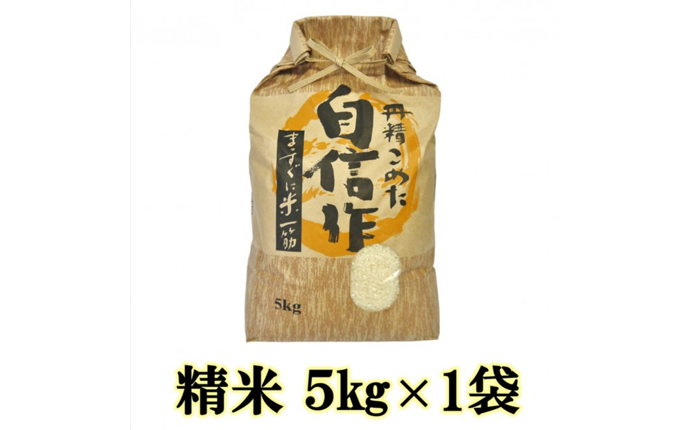 【令和7年産】佐渡産もち米 こがねもち 精米5kg×1袋