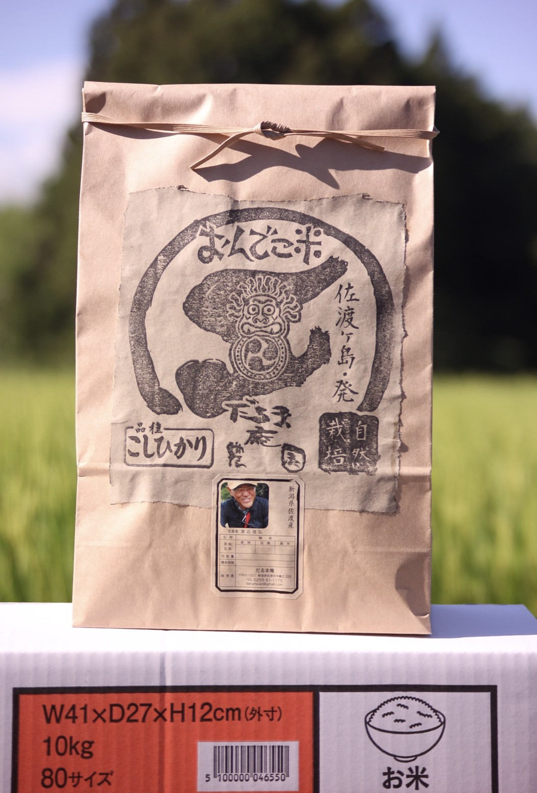 【令和7年産】だるま庵農園の自然栽培コシヒカリ玄米10キロ【2025年10月中旬より順次発送】