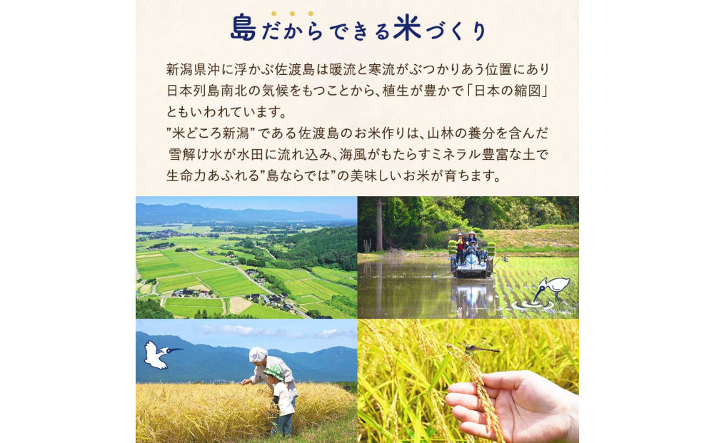 “訳あり“ 佐渡島のコシヒカリ中間米5Kg 特別栽培米 生産者応援 ※エリア限定※ 令和7年産