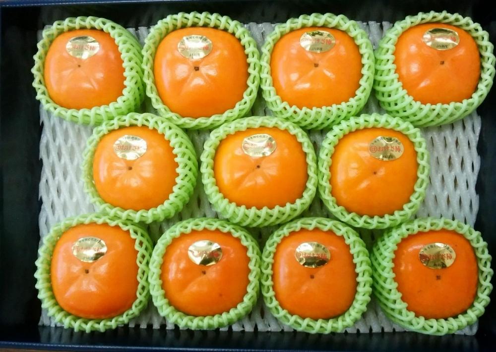 柿 おけさ柿 高級 赤秀 2Lサイズ 11玉 種なし 化粧箱入