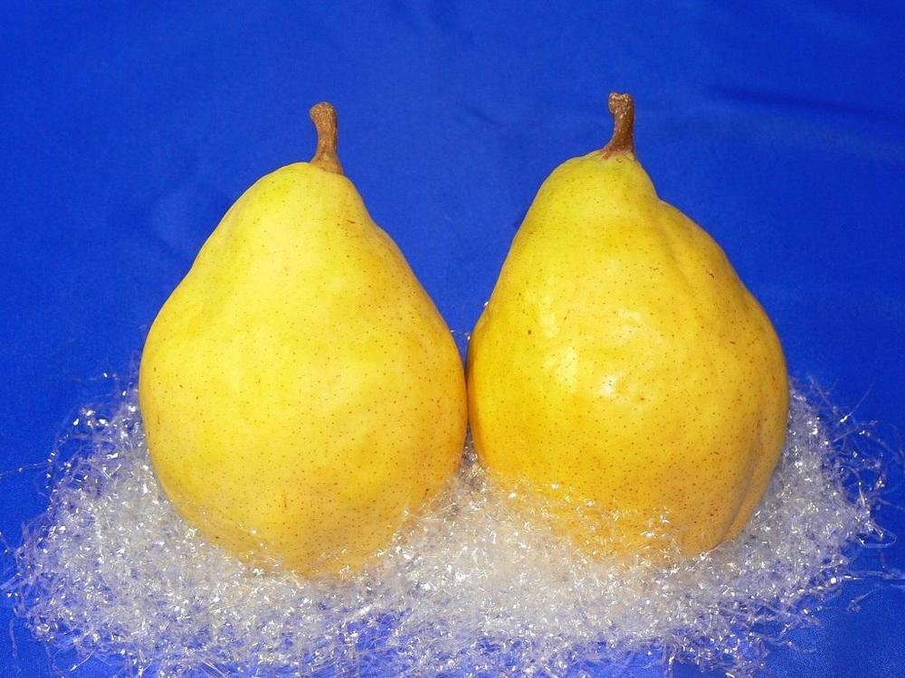 梨 ル・レクチエ 2kg ( 5～6個 ) 贈答用