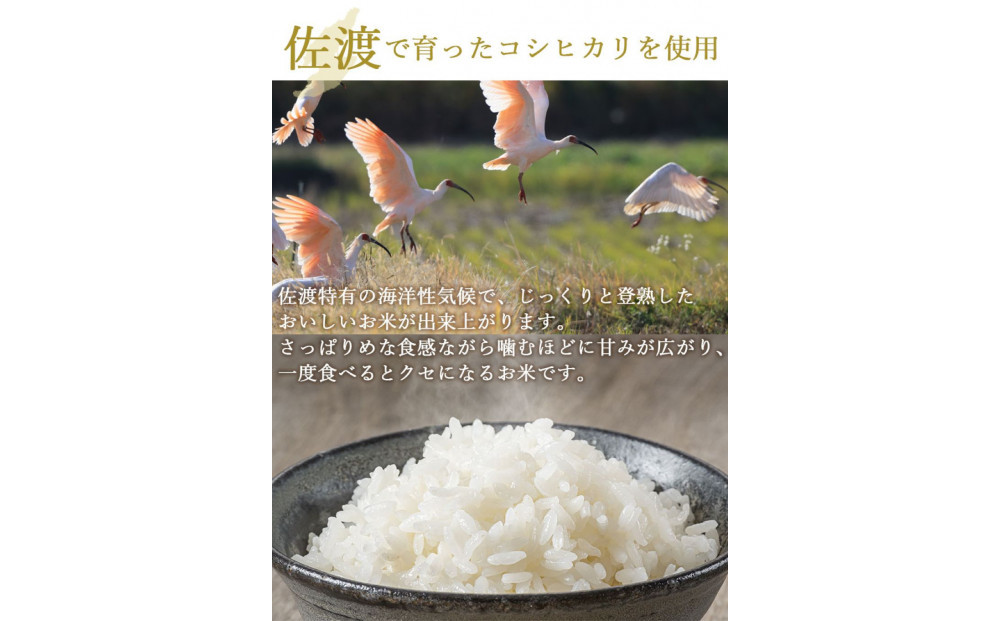 【パックごはん】佐渡こしひかり150g×24個