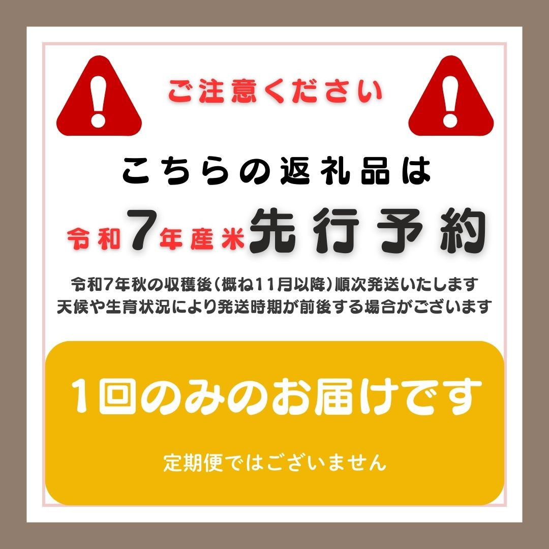【新潟県佐渡】佐渡産の純粋コシヒカリ25kg＜数量限定＞ 令和７年産 精米【無洗米】5kg×5袋