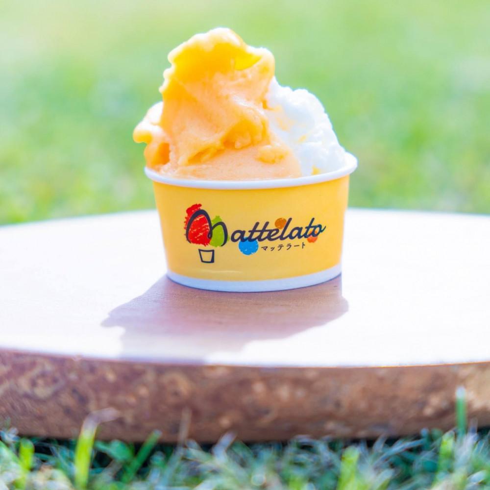 アイス ジェラート　佐渡島おけさ柿ジェラート3個&ミルクジェラート3個