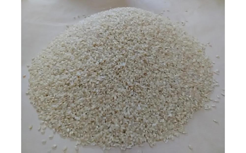 【令和7年度産】高島農場の農薬不使用コシヒカリ玄米30kg