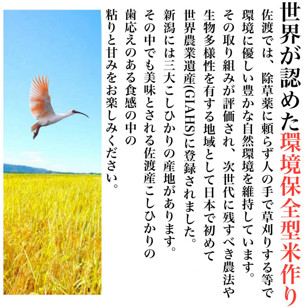 【定期便予約】佐渡産コシヒカリ 10kg(精米)　全12回