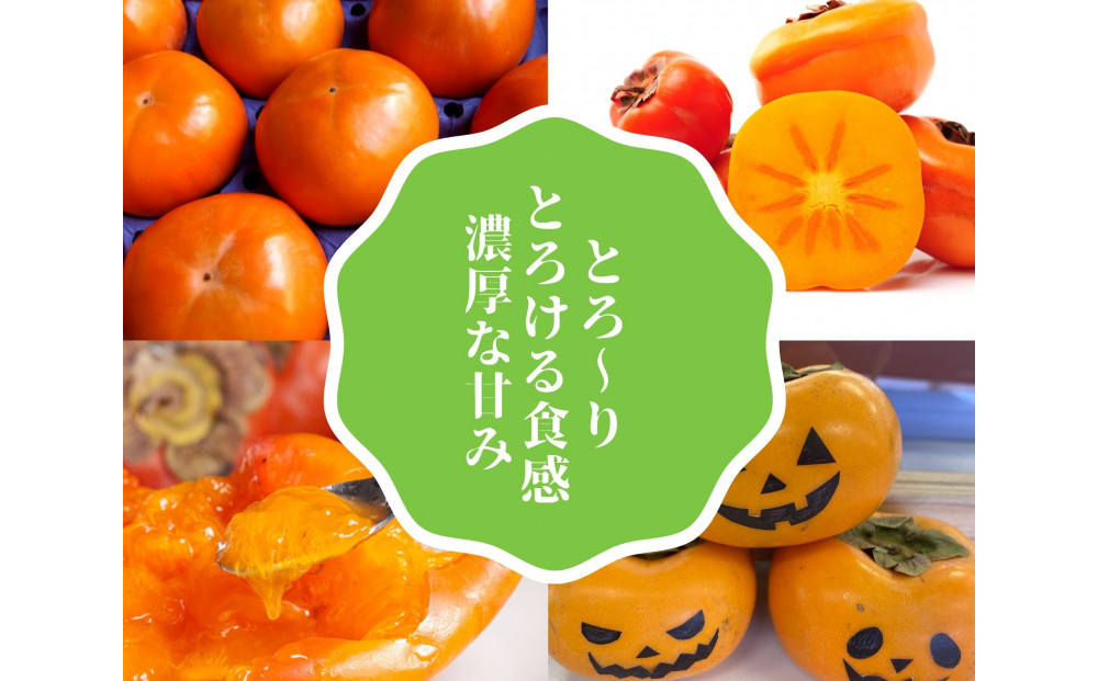 【家庭用】毎日食べたいから、ちょうどいい。M～Lサイズ　おまかせ（約7.5kg）