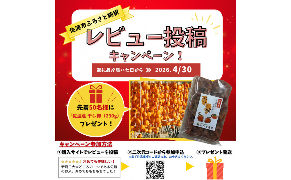 【レビューキャンペーン実施中！】令和7年産 佐渡 川上農産のこしいぶき（5kg）