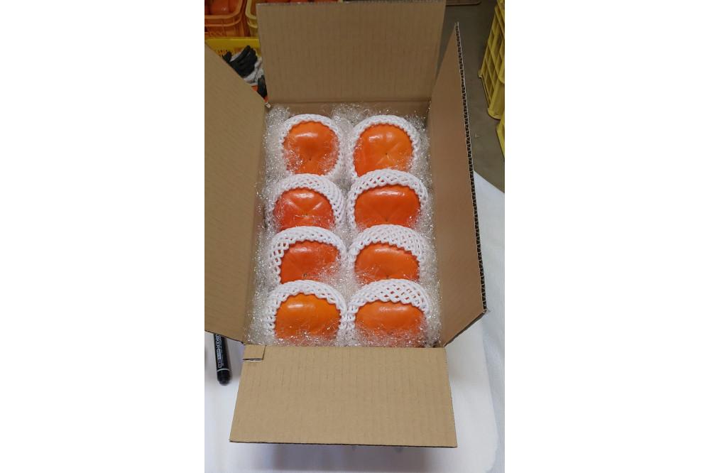 佐渡島産　ジャンボおけさ柿　５L（8個入）