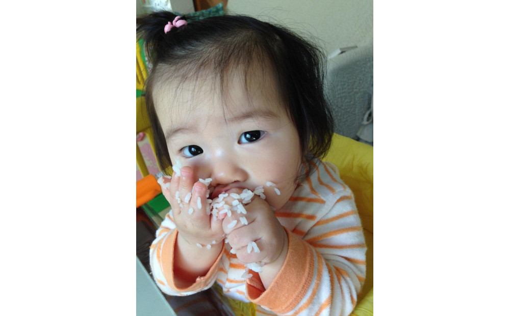 令和7年産　佐渡産コシヒカリ　5キロ　精米　白米　